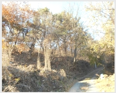  2024Ÿ��126802 ��� ���� �Ͼ��� �� ��16      ����(�Ӿ�)���