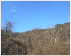  2024Ÿ��126802 ��� ���� �Ͼ��� �� ��16      ����(�Ӿ�)���