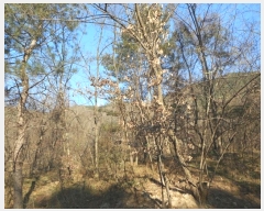  2024Ÿ��126802 ��� ���� �Ͼ��� �� ��16      ����(�Ӿ�)���