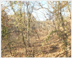  2024Ÿ��126802 ��� ���� �Ͼ��� �� ��16      ����(�Ӿ�)���