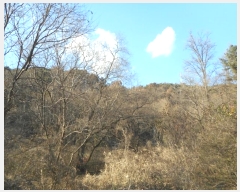  2024Ÿ��126802 ��� ���� �Ͼ��� �� ��16      ����(�Ӿ�)���