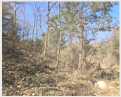  2024Ÿ��126802 ��� ���� �Ͼ��� �� ��16      ����(�Ӿ�)���