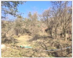  2024Ÿ��126802 ��� ���� �Ͼ��� �� ��16      ����(�Ӿ�)���