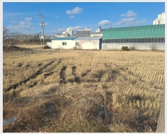  2024Ÿ128310  õ ϻ굿 1153-7       ()