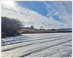  2024Ÿ128310  õ ϻ굿 1153-7       ()