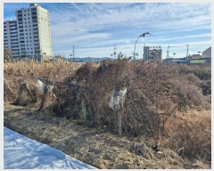  2024Ÿ128310  õ ϻ굿 1153-7       ()