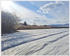  2024Ÿ128310  õ ϻ굿 1153-7       ()