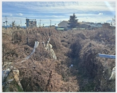  2024Ÿ128310  õ ϻ굿 1153-7       ()