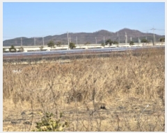  2024Ÿ128310  õ ϻ굿 1153-7       ()