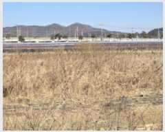  2024Ÿ128310  õ ϻ굿 1153-7       ()