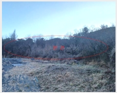  2024Ÿ128853  û õ  593      (1)