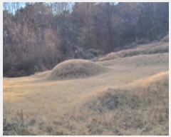  2024Ÿ128853  û õ  593      (1)