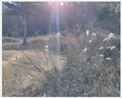  2024Ÿ128853  û õ  593      (1)