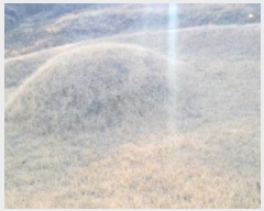  2024Ÿ128853  û õ  593      (1)