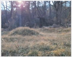  2024Ÿ128853  û õ  593      (1)