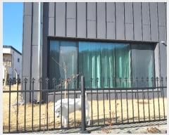  2024Ÿ129160  õ ̵ 368-56       ð