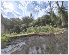  2024Ÿ129368  õ ȣ ȣ 505      ()