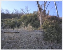  2024Ÿ129368  õ ȣ ȣ 505      ()