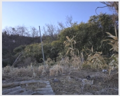  2024Ÿ129368  õ ȣ ȣ 505      ()