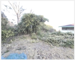  2024Ÿ129368  õ ȣ ȣ 505      ()