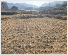  2024Ÿ129801  õ Ͼȸ  377      ()