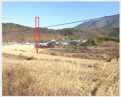  2024Ÿ129801  õ Ͼȸ  377      ()