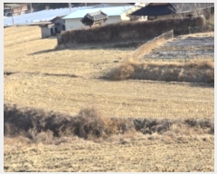  2024Ÿ129801  õ Ͼȸ  377      ()