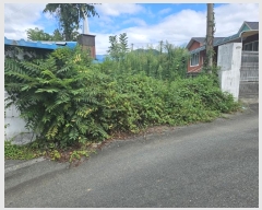  2024Ÿ��119767 ��� û���� ���ϸ� ���긮 177-4      ����(����)���