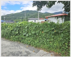  2024Ÿ��119767 ��� û���� ���ϸ� ���긮 177-4      ����(����)���