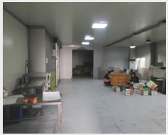  2024Ÿ122466  ĥ õ â 231-8      ,â