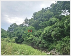  2024Ÿ��5998 ��� ĥ� ������ ��� 20      ����(��)���