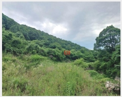  2024Ÿ��5998 ��� ĥ� ������ ��� 20      ����(��)���