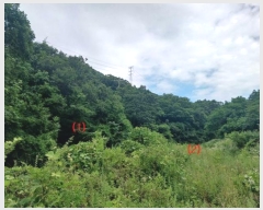  2024Ÿ��5998 ��� ĥ� ������ ��� 20      ����(��)���