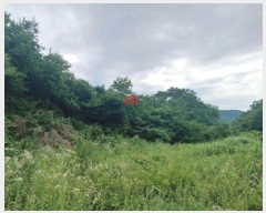  2024Ÿ��5998 ��� ĥ� ������ ��� 20      ����(��)���