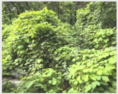  2024Ÿ��5998 ��� ĥ� ������ ��� 20      ����(��)���