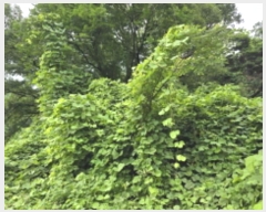  2024Ÿ��5998 ��� ĥ� ������ ��� 20      ����(��)���