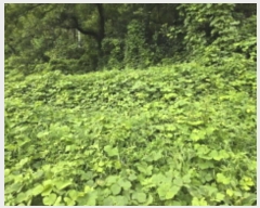  2024Ÿ��5998 ��� ĥ� ������ ��� 20      ����(��)���