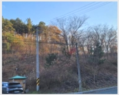  2024Ÿ��9037  �Ӿ߰��