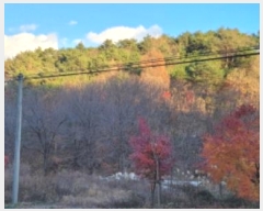  2024Ÿ��9037  �Ӿ߰��