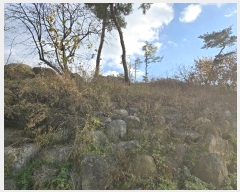  2024Ÿ��10662 ��� ��õ�� ��ȣ�� �ೲ�� 362-2      ������