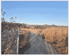  2024Ÿ11290  õ ȭϸ  270-1      (1)