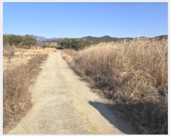  2024Ÿ11290  õ ȭϸ  270-1      (1)