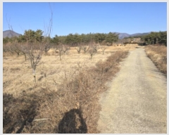  2024Ÿ11290  õ ȭϸ  270-1      (1)