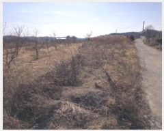  2024Ÿ11290  õ ȭϸ  270-1      (1)