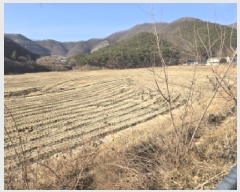  2024Ÿ��11689 ��� ��õ�� ����� ������ 896      ����(��1)���