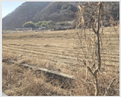  2024Ÿ��11689 ��� ��õ�� ����� ������ 896      ����(��1)���