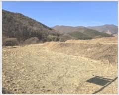  2024Ÿ��11689 ��� ��õ�� ����� ������ 896      ����(��1)���