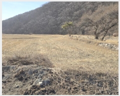  2024Ÿ��11689 ��� ��õ�� ����� ������ 896      ����(��1)���