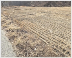  2024Ÿ��11689 ��� ��õ�� ����� ������ 896      ����(��1)���