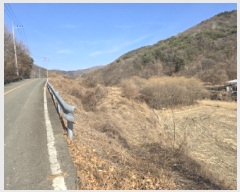  2024Ÿ��11689 ��� ��õ�� ����� ������ 896      ����(��1)���